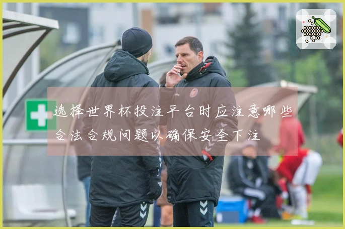 选择世界杯投注平台时应注意哪些合法合规问题以确保安全下注