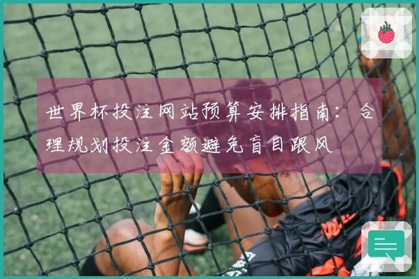 世界杯投注网站预算安排指南：合理规划投注金额避免盲目跟风
