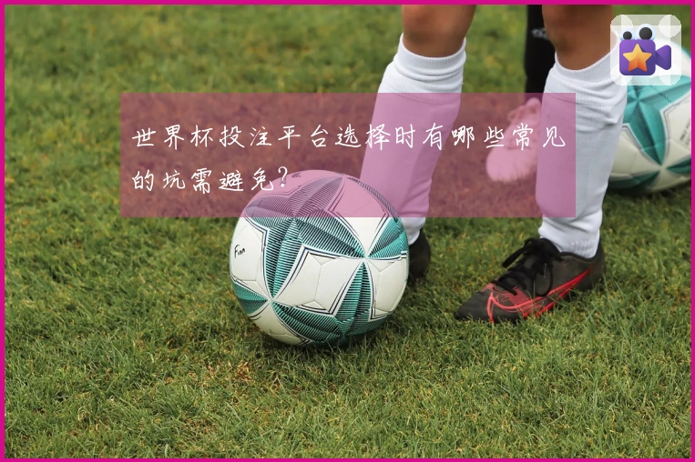 世界杯投注平台选择时有哪些常见的坑需避免？