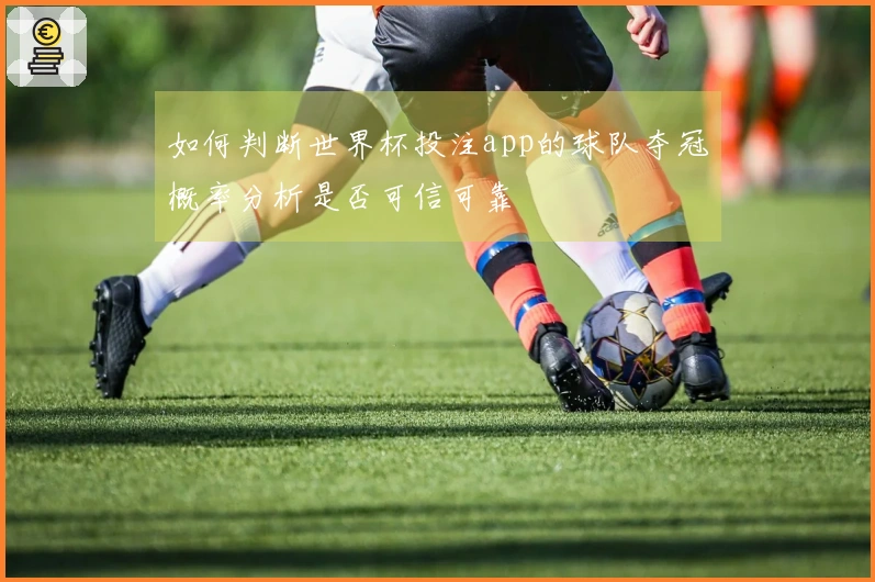 如何判断世界杯投注app的球队夺冠概率分析是否可信可靠