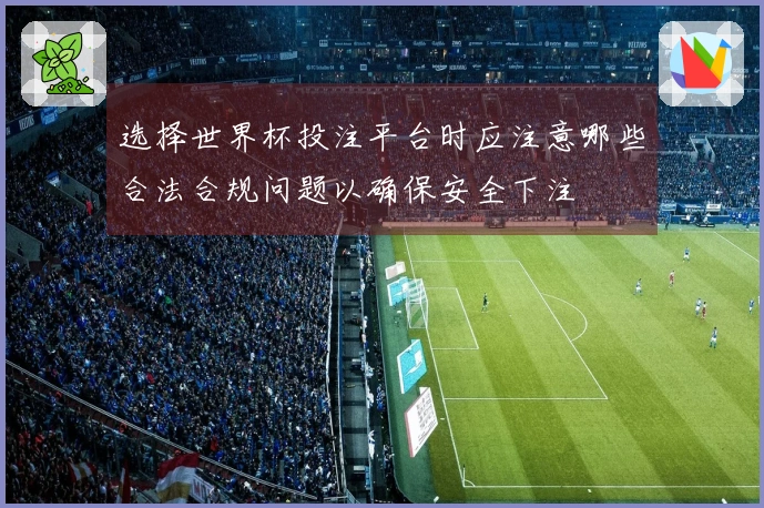 选择世界杯投注平台时应注意哪些合法合规问题以确保安全下注